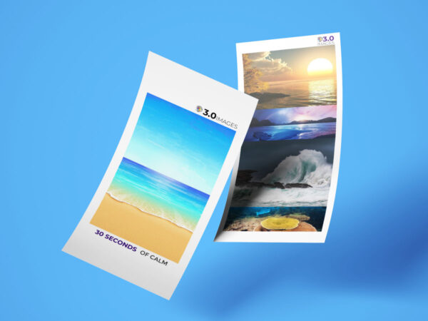 DL Flyers (Double sided)